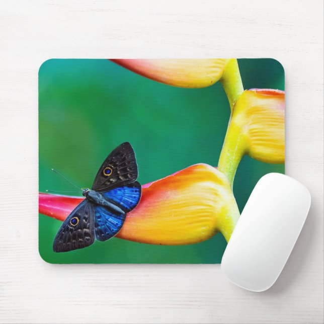 Tapis De Souris Créez votre propre Modèle photo personnalisé perso (Avec souris)