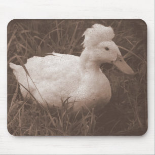 Tapis De Souris Crestie le canard crêté