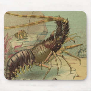 Tapis De Souris Crevettes, Vie sous-marine, Animaux de l'océan vin