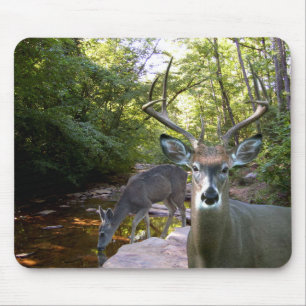 Tapis De Souris Crique Mousepad 01 de cerfs communs