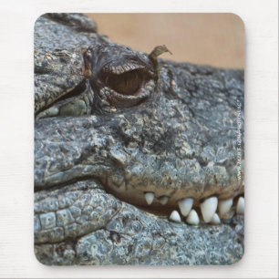 Tapis De Souris Crocodile