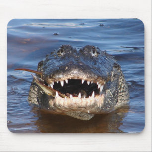 Tapis De Souris Crocodile de sourire