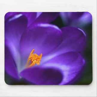 Tapis De Souris crocus