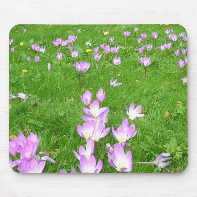 Tapis De Souris Crocus de chute en Angleterre (Devant)
