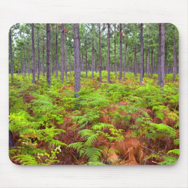 Tapis De Souris Croissance de la peau commune (Pteridium Aquilinum (Devant)