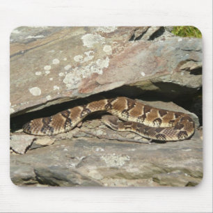 Tapis De Souris Crotale à Shenandoah National Park