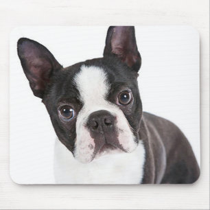 Tapis De Souris Cube Boston Terrier Maman Puppy Funny Dog Lover