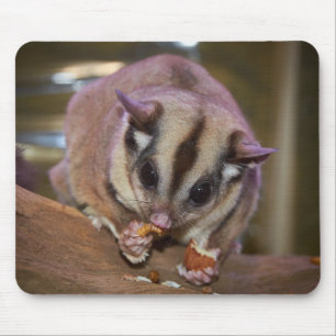 Tapis De Souris Cuire Le Pet Le Gilet De Sucre