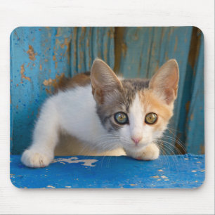 Tapis De Souris Cuisine Calico Cat Kitten Drôle des yeux curieux 