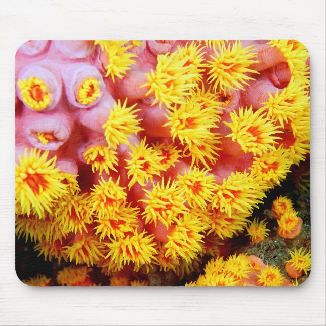 Tapis De Souris cupcoral (Devant)