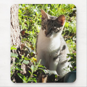 Tapis De Souris Curieux Tigre et chat blanc
