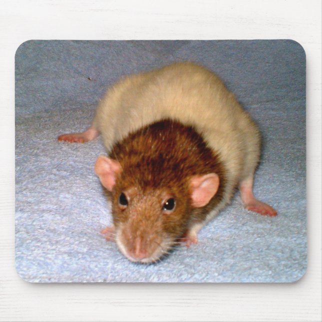 Tapis De Souris Cute Dumbo Rat Mousepad (Devant)