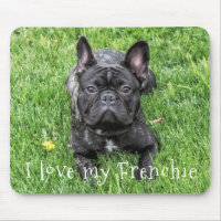 Cute "I Love My Frenchie" French Bulldog Photo