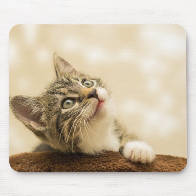 Tapis De Souris Cute Kitten avec une paille étirée (Devant)