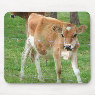 Tapis De Souris Cute Little Calf