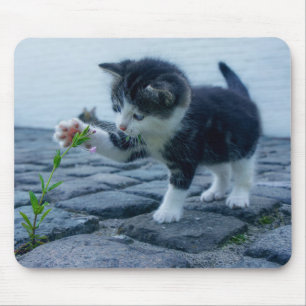 Tapis De Souris Cute Little Kitten Jouer avec une fleur