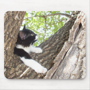 Tapis De Souris Cute noir et blanc Tuxedo Kitten