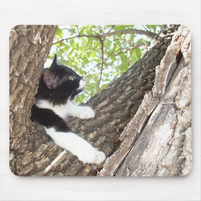Tapis De Souris Cute noir et blanc Tuxedo Kitten (Devant)