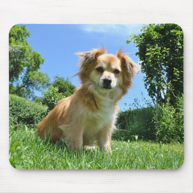 Tapis De Souris Cute Puppy in Garden (Devant)