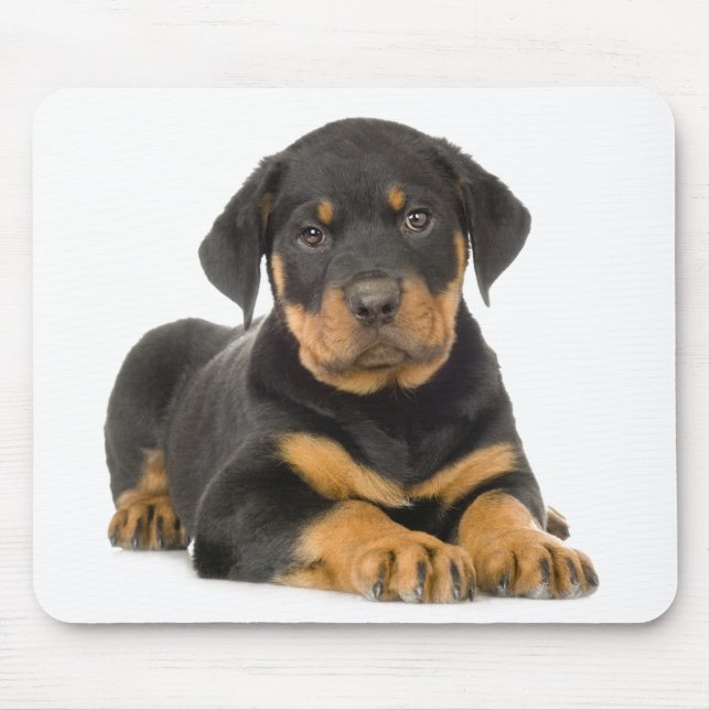 Tapis De Souris Cute Rottie Chien Chien Gift Rottweiler (Devant)