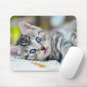Tapis De Souris Cutest Baby Animals   Kitten With Blue Eyes