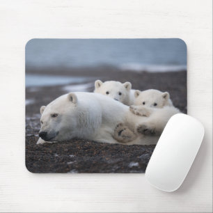 Tapis De Souris Cutest Baby Animals   Polar Bear Family Alaska
