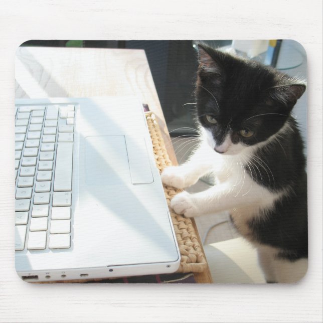 Tapis De Souris Cyberkitten (Devant)