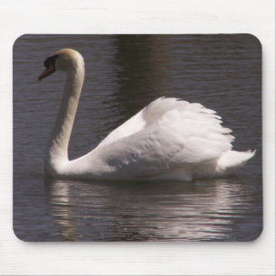 Tapis De Souris Cygne de mâle de Sideview