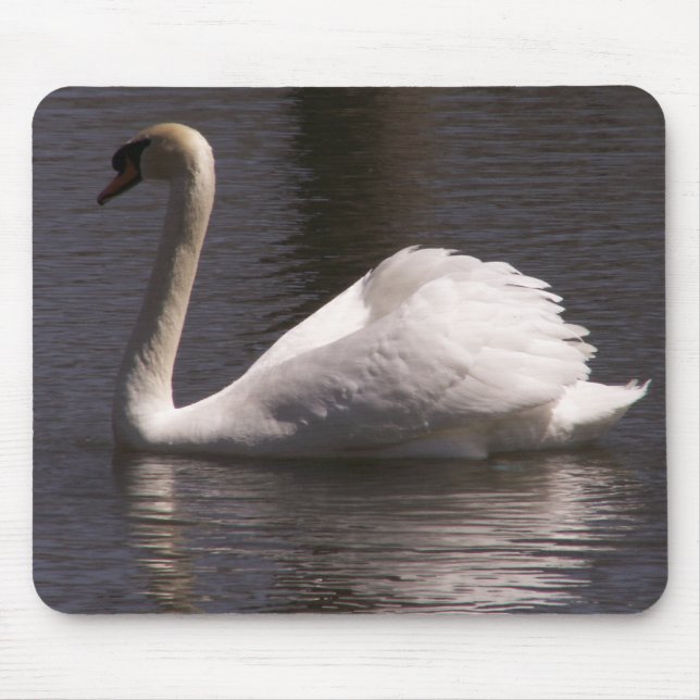 Tapis De Souris Cygne de mâle de Sideview (Devant)