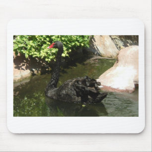 Tapis De Souris Cygne noir