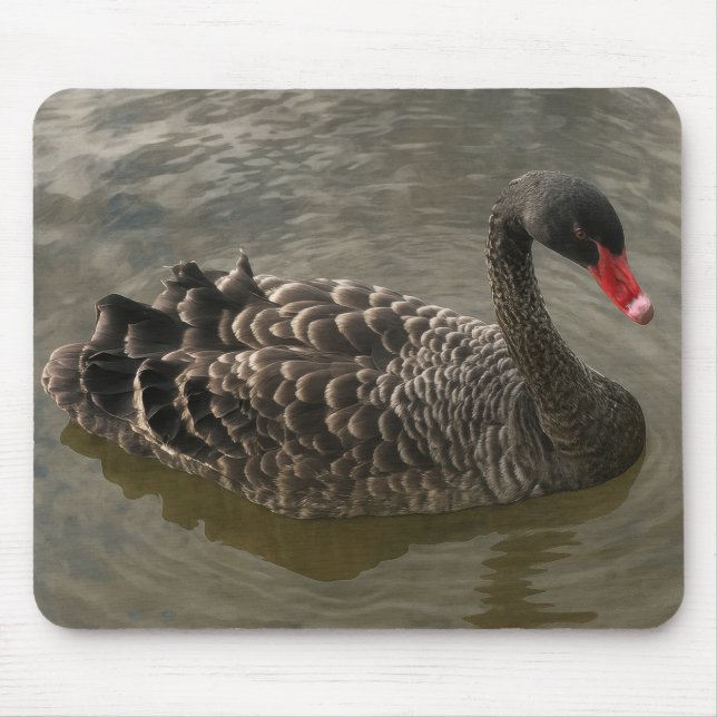 Tapis De Souris Cygne noir (Devant)