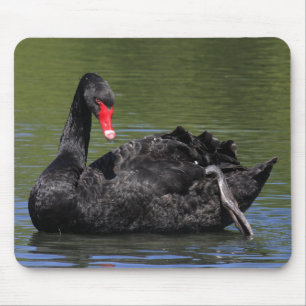 Tapis De Souris Cygne noir