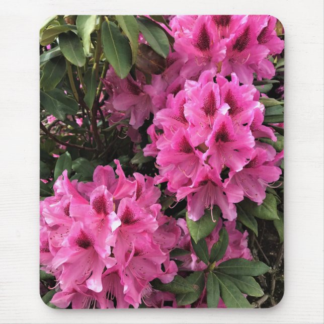 Tapis De Souris Cynthia Rhododendrons, Oregon (Devant)