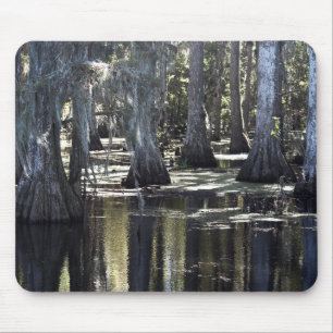Tapis De Souris Cyprès chauve