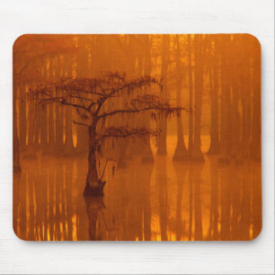 Tapis De Souris Cypress Trees   Parc d'état George Smith