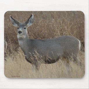 Tapis De Souris D14 Mule Deer Doe