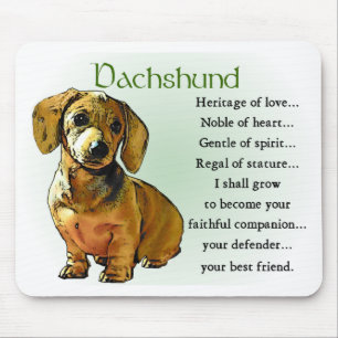 Tapis De Souris Dachshund