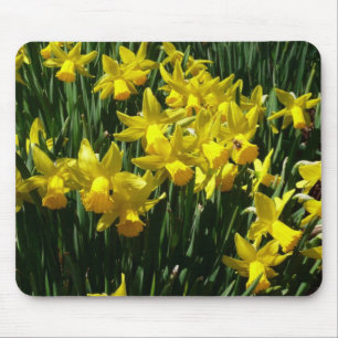Tapis De Souris Daffodiles Jaunes I Fleurs De Printemps Cheveux