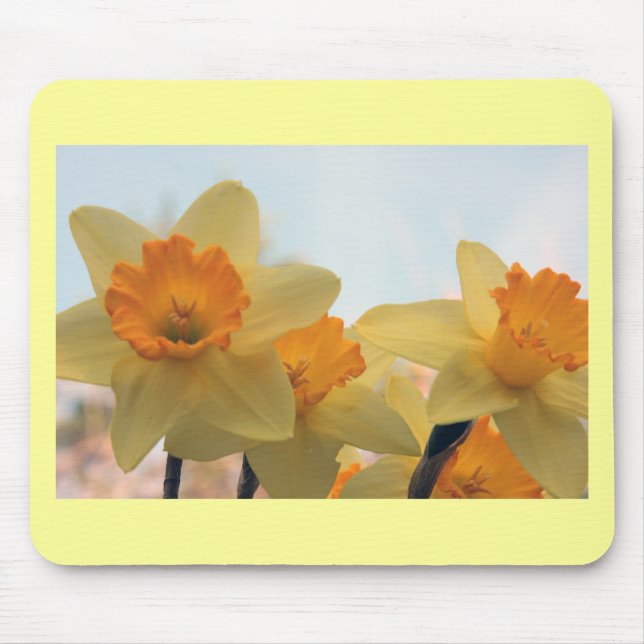 Tapis De Souris Daffodilux (Devant)