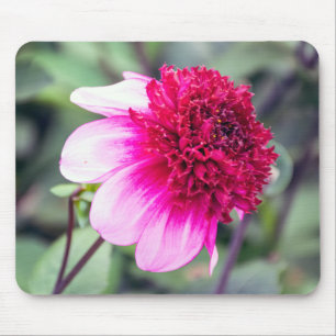 Tapis De Souris Dahlia à deux tonalités, rose frileux et magenta