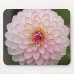 Tapis De Souris Dahlia blanche avec fleur de jante rose