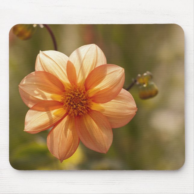 Tapis De Souris Dahlia Mousepad (Devant)