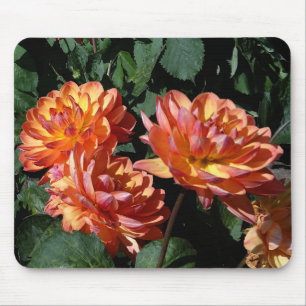 Tapis De Souris Dahlia Pam Howden