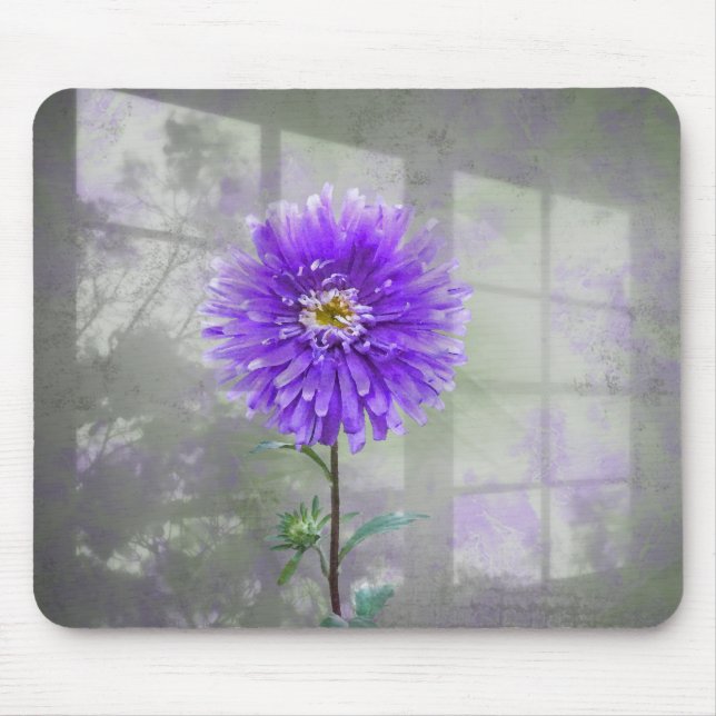 Tapis De Souris Dahlia Violet Dans L'Ombre De Fenêtre (Devant)