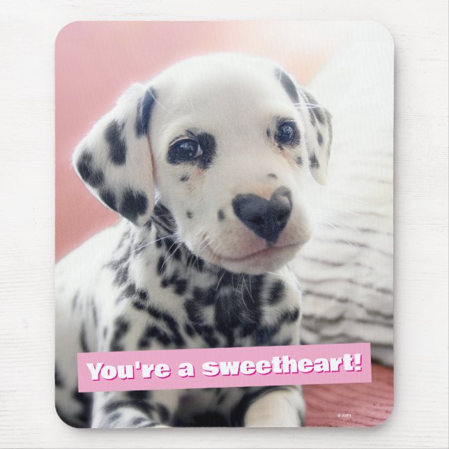 Tapis De Souris Dalmatien Nez en Coeur (Devant)