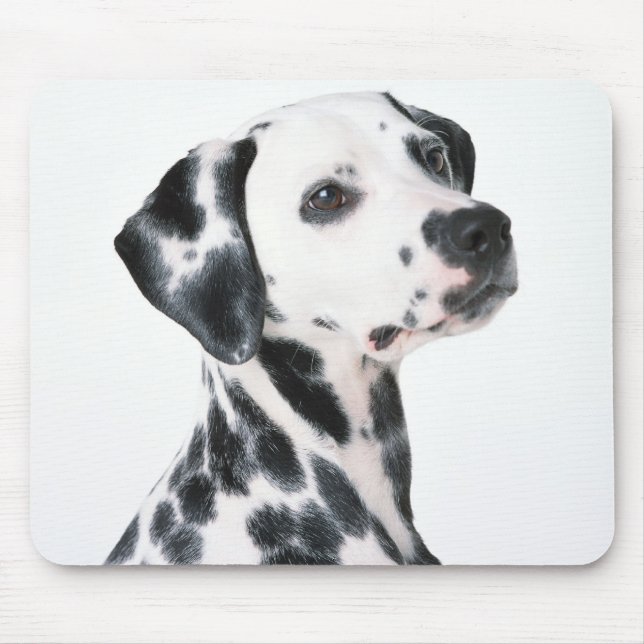 Tapis De Souris Dalmation (Devant)