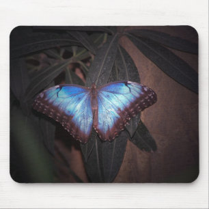 Tapis De Souris Dame peinte en bleu