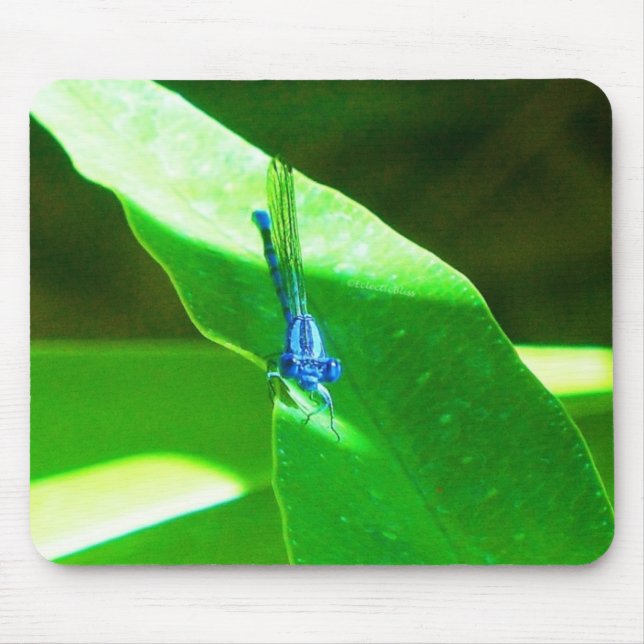Tapis De Souris Damselfly (Devant)