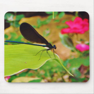 Tapis De Souris Damselfly et Rose