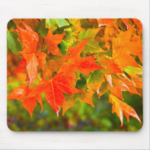 Tapis De Souris Danse Maple Leaf